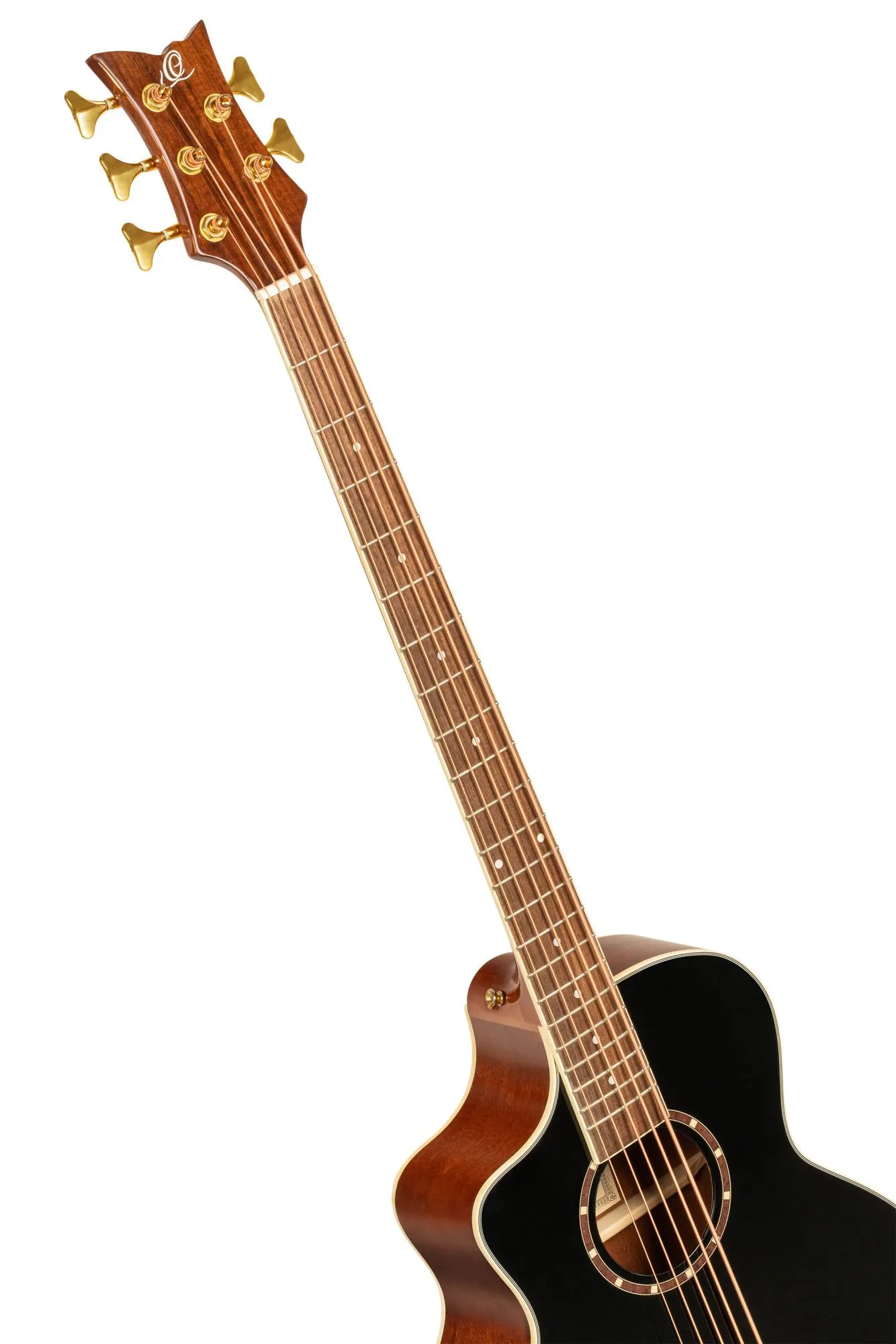 Ortega D8CE-5-L