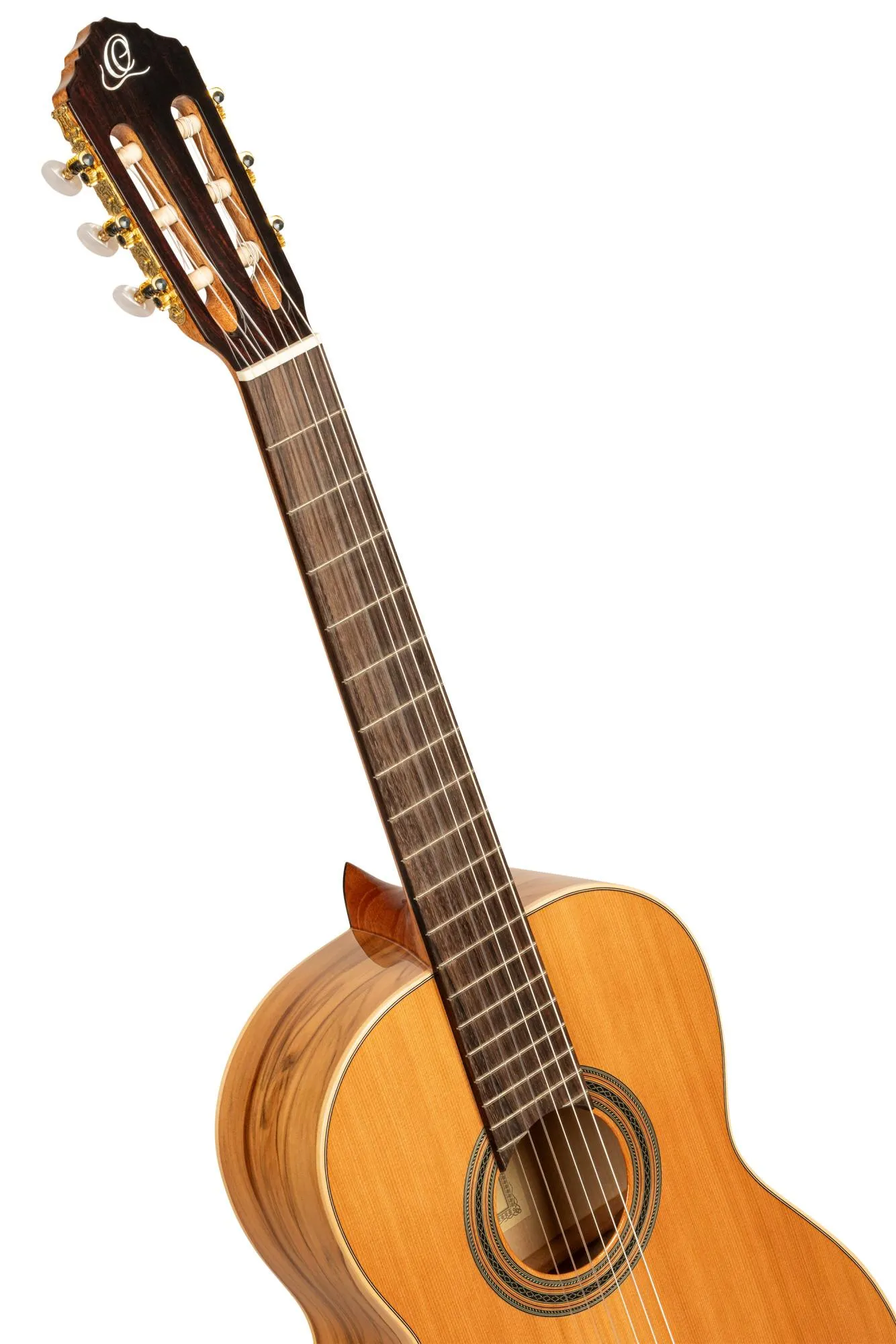Ortega R20GRG-L