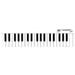 Miditech GarageKey Mini