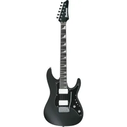 Ibanez BER10