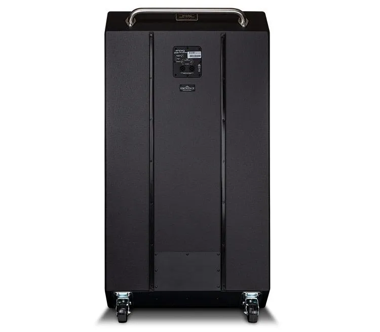 Ampeg Heritage SVT-810AV