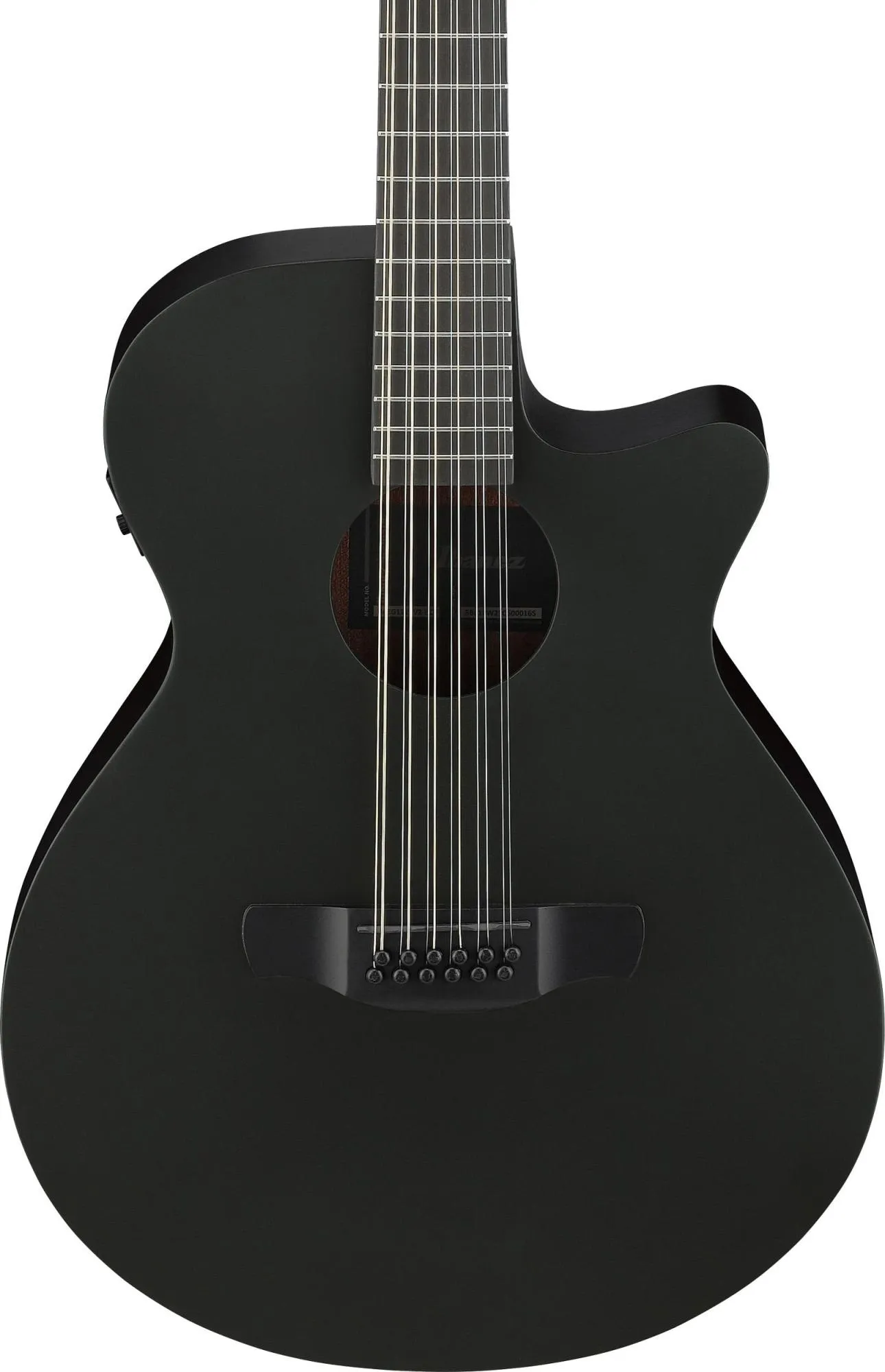 Ibanez AEG1221-BOT