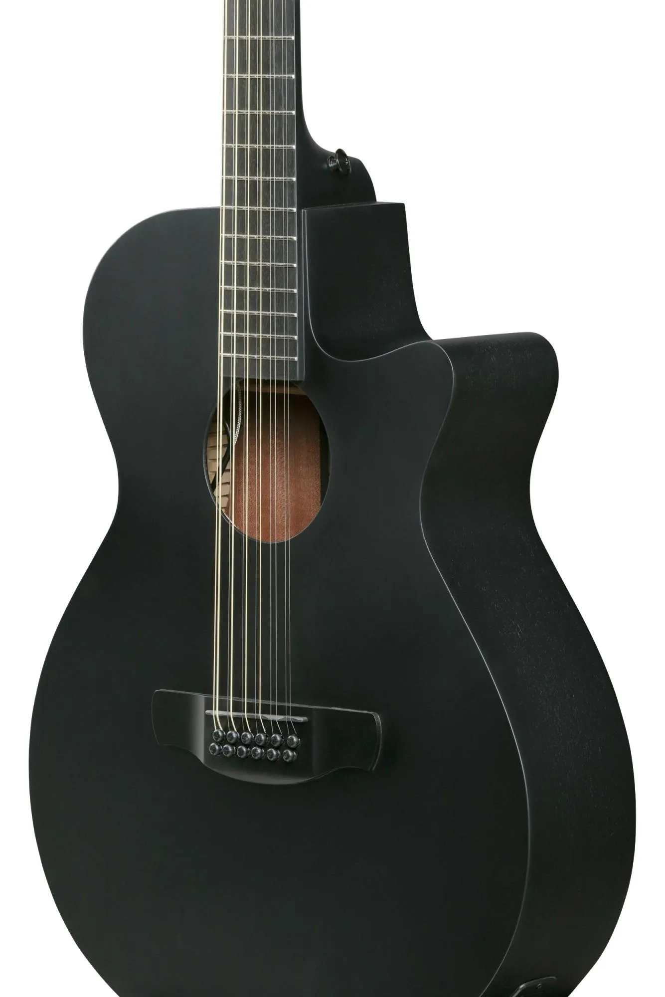 Ibanez AEG1221-BOT