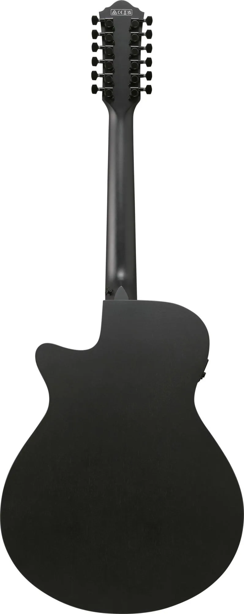 Ibanez AEG1221-BOT