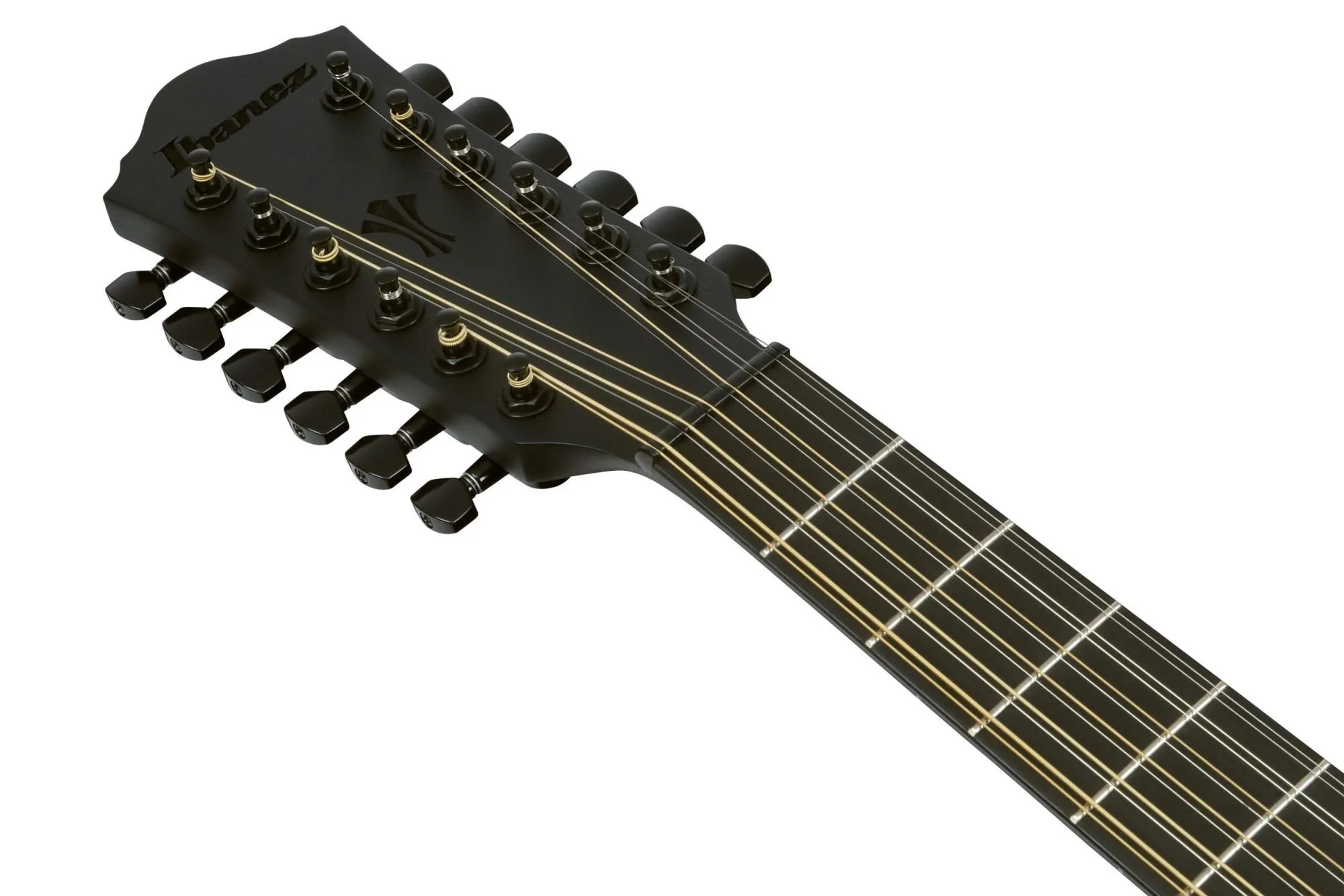 Ibanez AEG1221-BOT