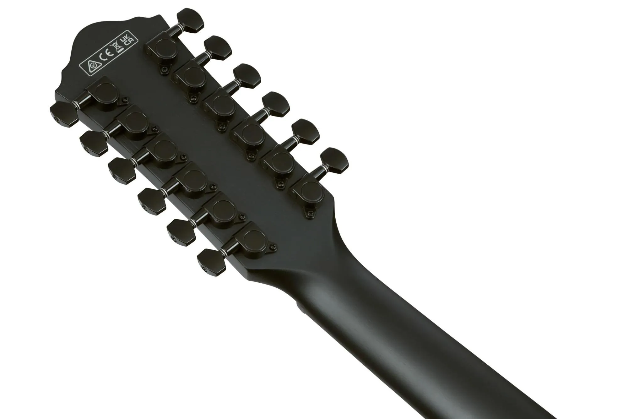 Ibanez AEG1221-BOT