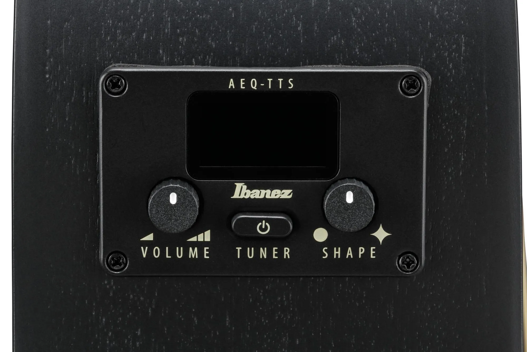 Ibanez AEG1221-BOT