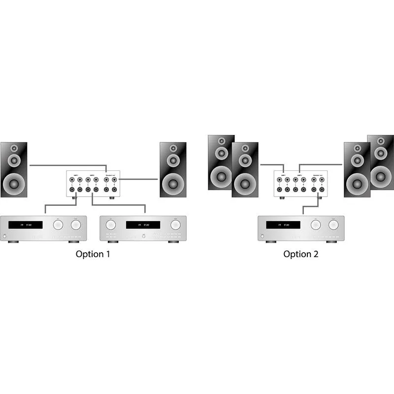 Dynavox AMP-S III Amplifier/Speaker Switch Silver