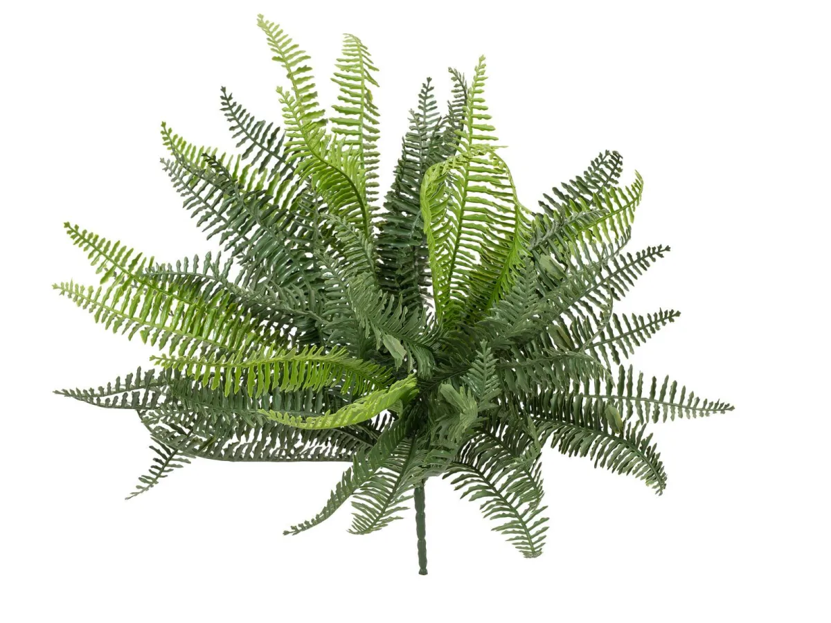 Europalms Ruffle Fern 38cm
