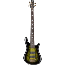 Spector Icon NS5 Neck Through Haunted Moss