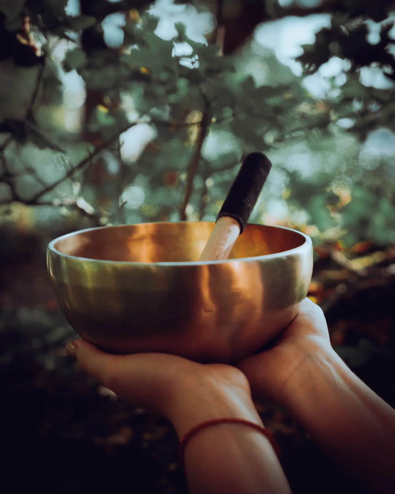 Sela Harmony Singing Bowl 19
