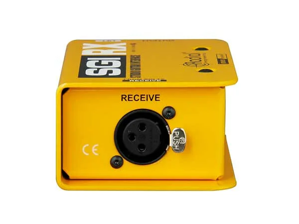 Radial SGI RX