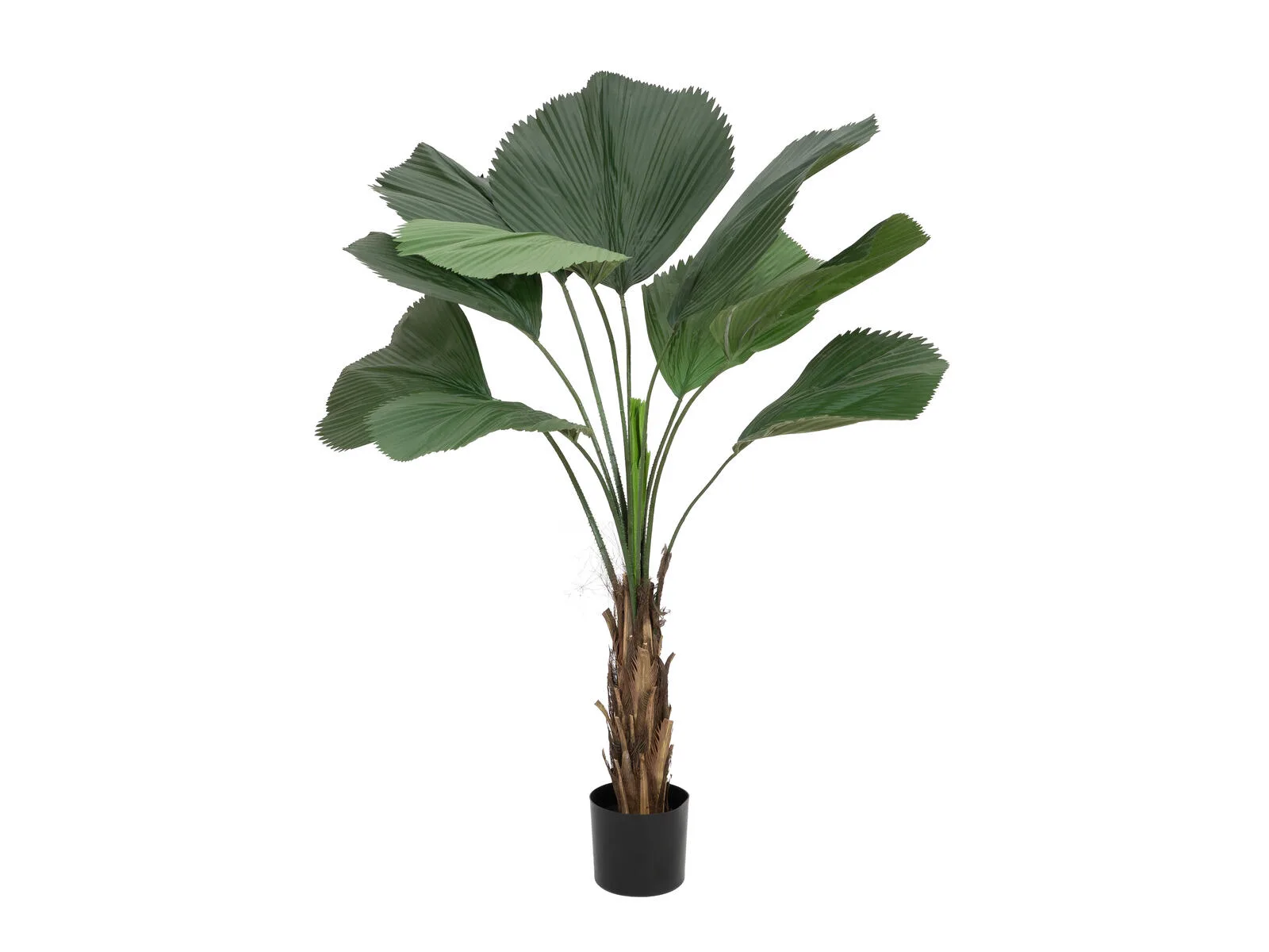 Europalms Ruffled Fan Palm Artificial 140cm