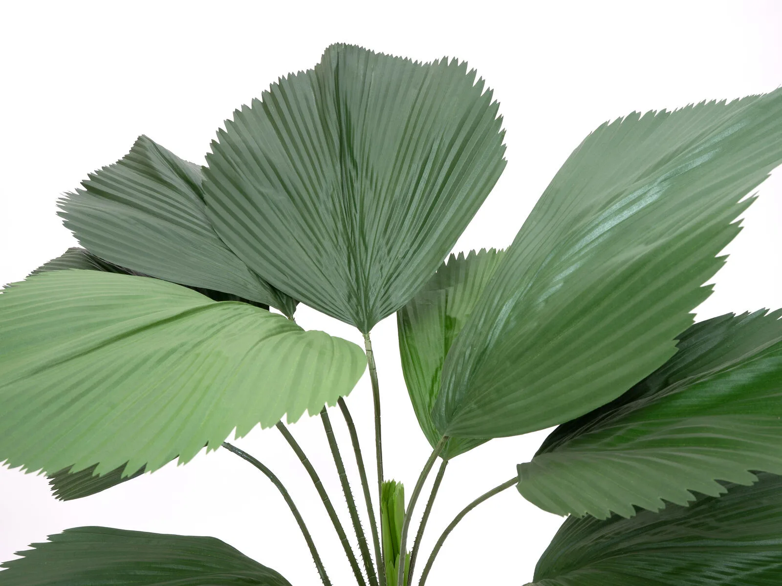 Europalms Ruffled Fan Palm Artificial 140cm