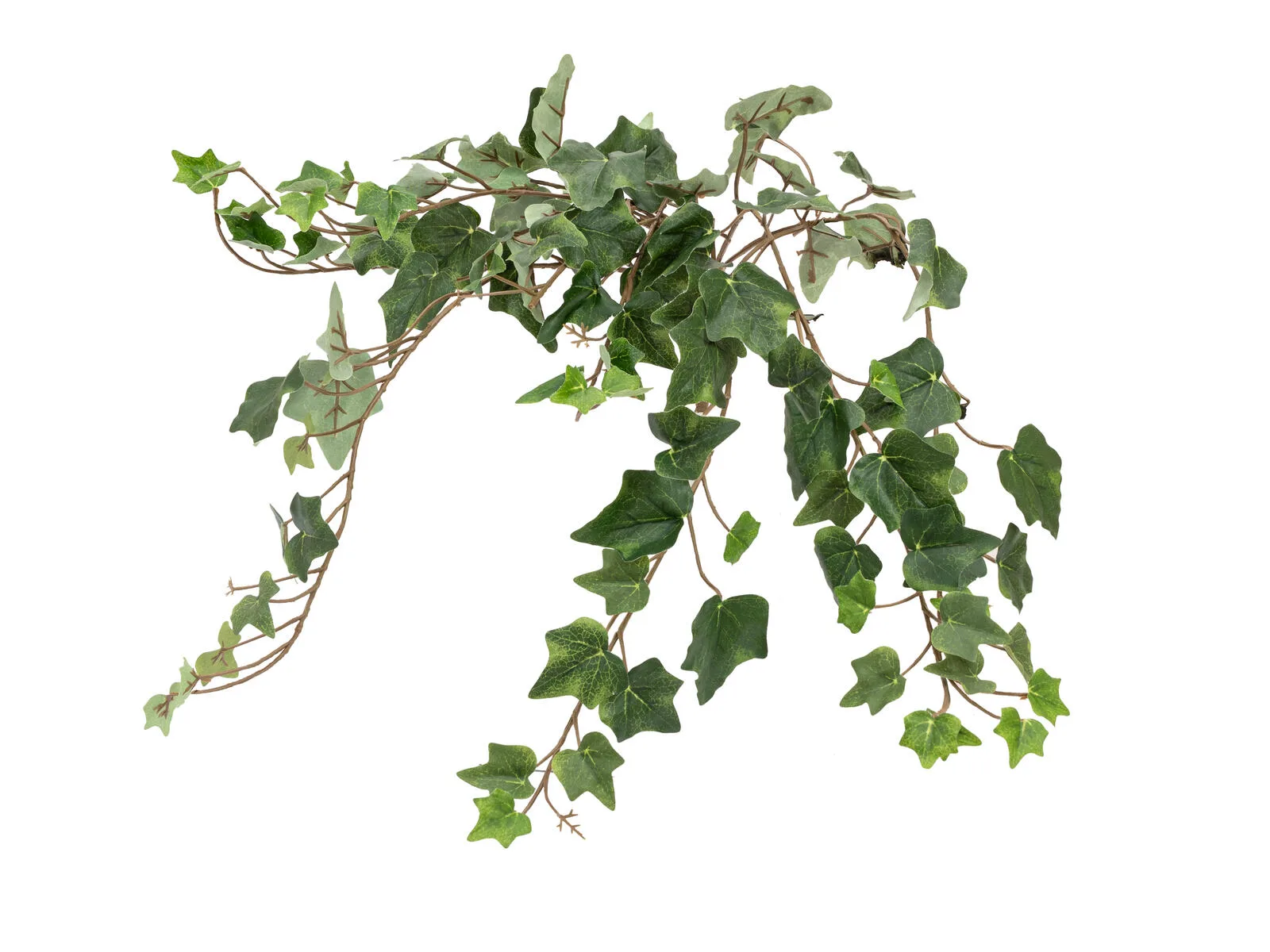 Europalms Ivy Bush Tendril 60cm