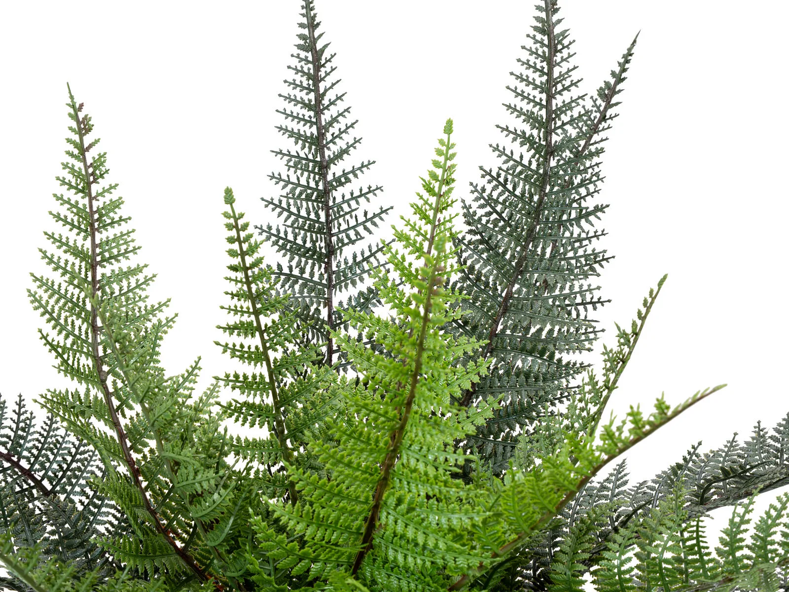 Europalms Boston Fern Artificial Plant 50cm