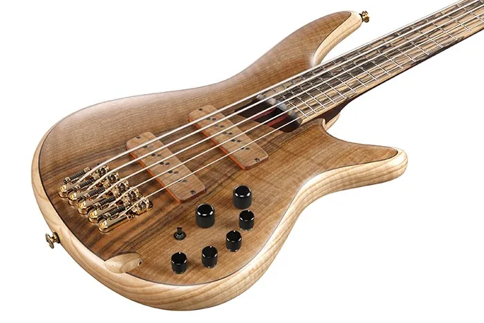 Ibanez IV1SR