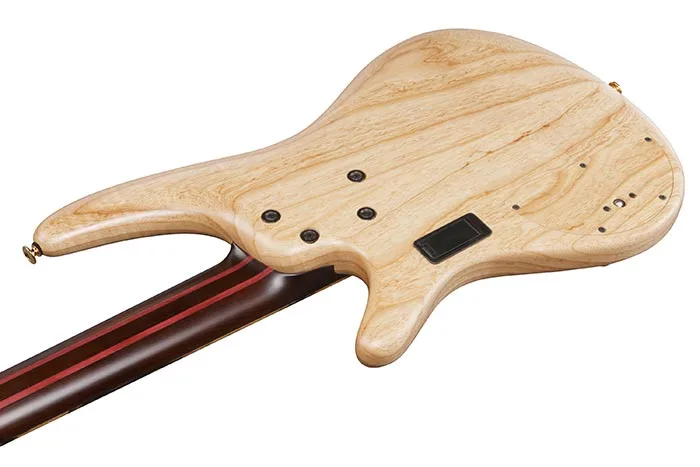 Ibanez IV1SR