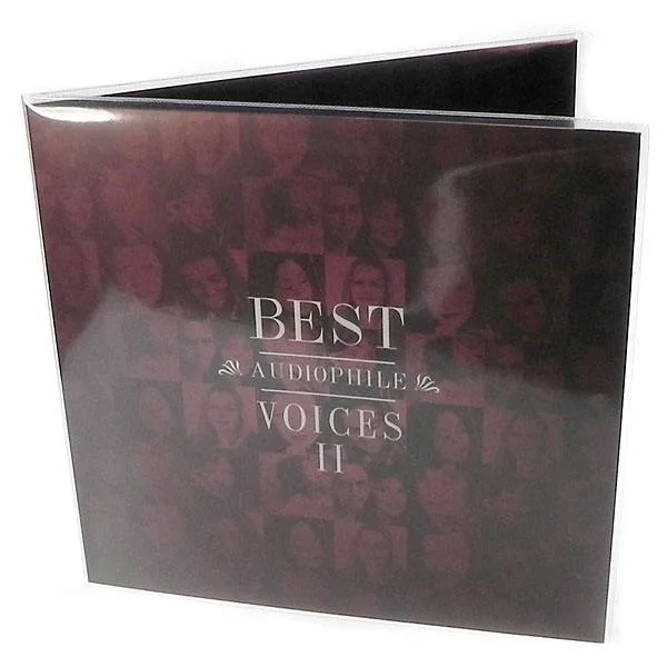 Noname Double LP-Cover PVC 10-pack