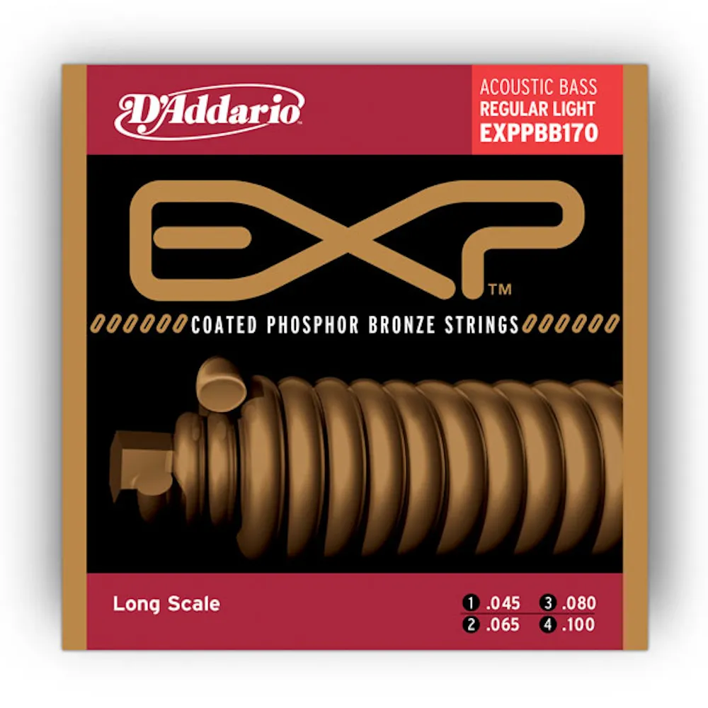 D'Addario EXPPBB170