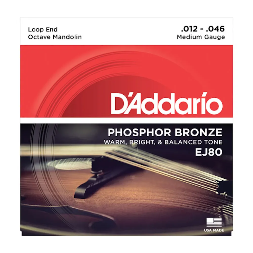 D'Addario EJ80