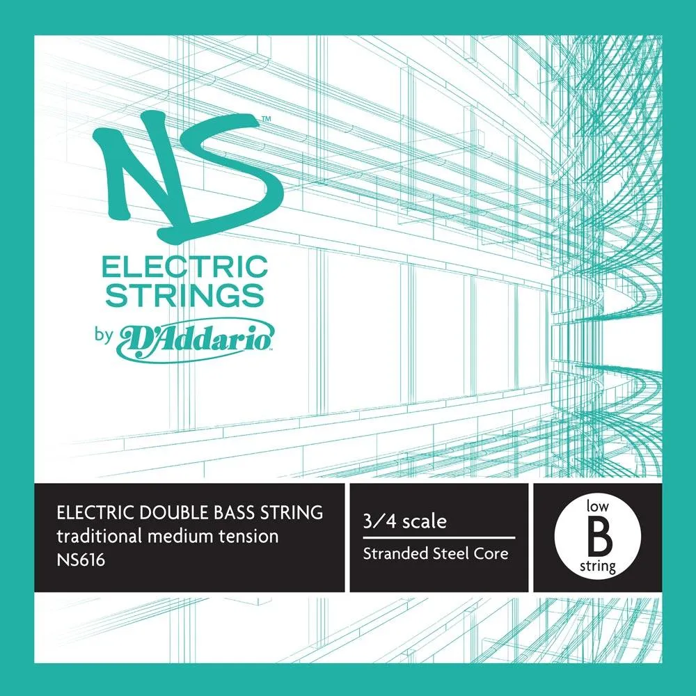 D'Addario NS616 LOW B