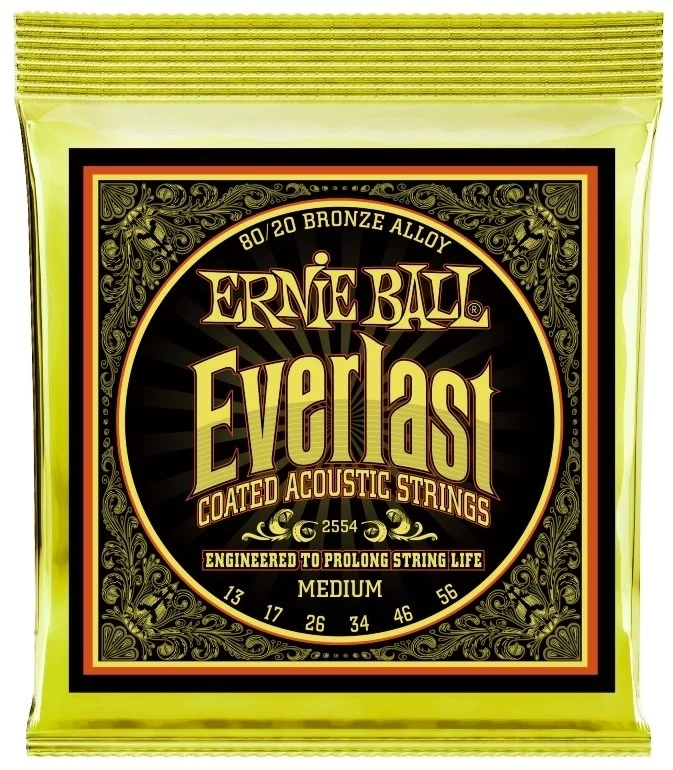 Ernie Ball 2554 Everlast 80/20 Medium