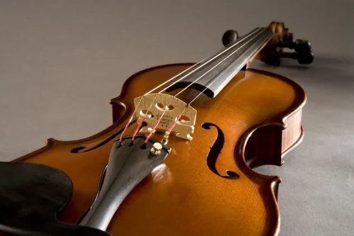 V300 Violin