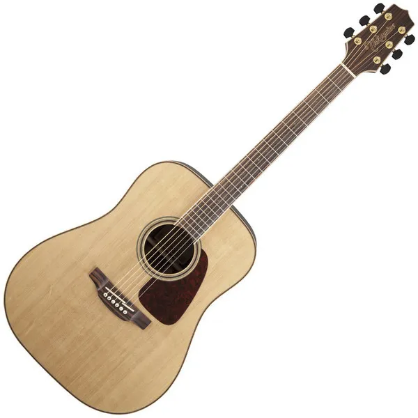 Takamine GD93-NAT