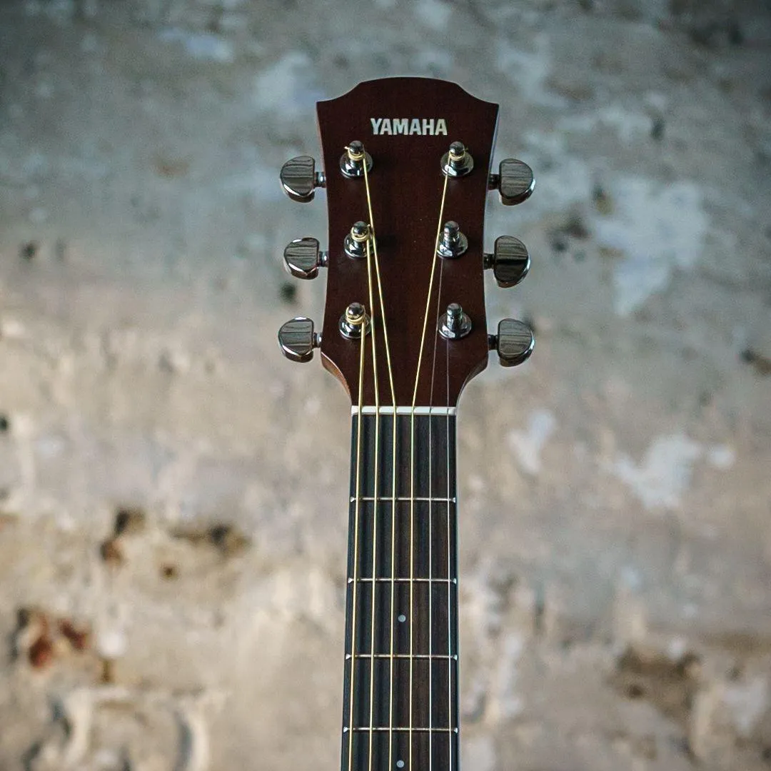 Yamaha AC3M ARE Tobacco Brown Sunburst