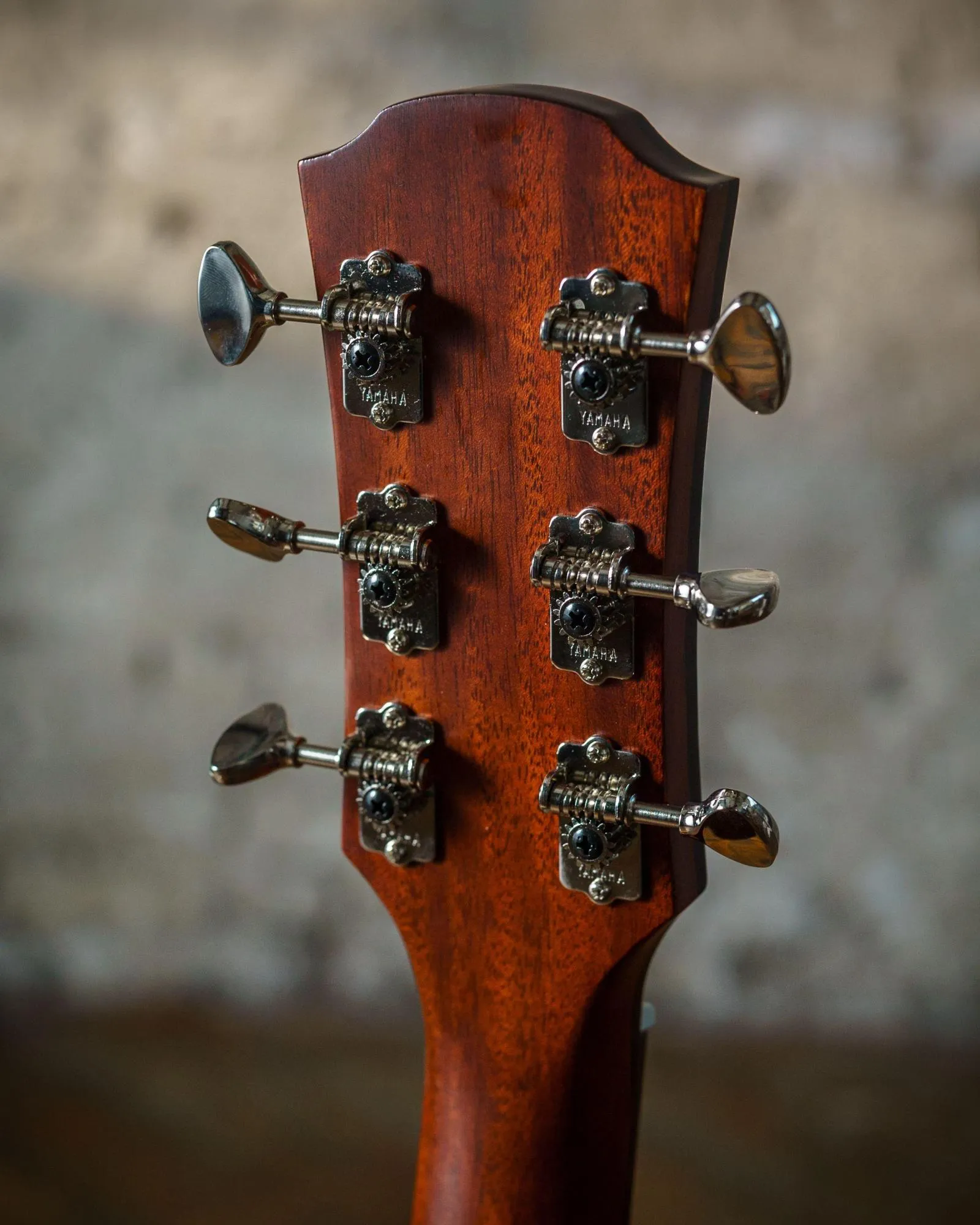 Yamaha AC5M ARE Vintage Natural