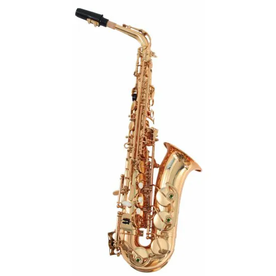 SOUNDSATION SALSX-20