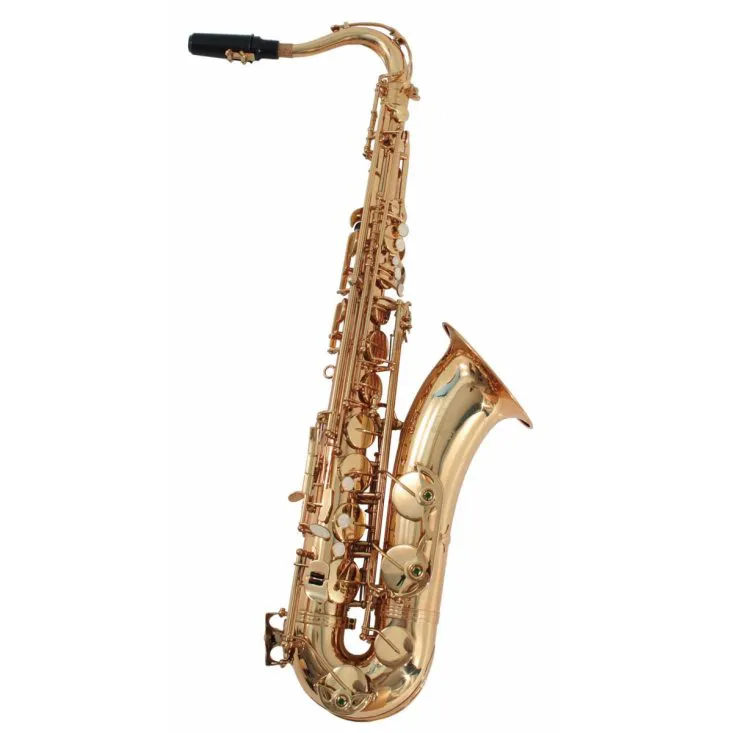 SOUNDSATION STNSX-20