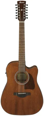 Ibanez AW5412CE-OPN