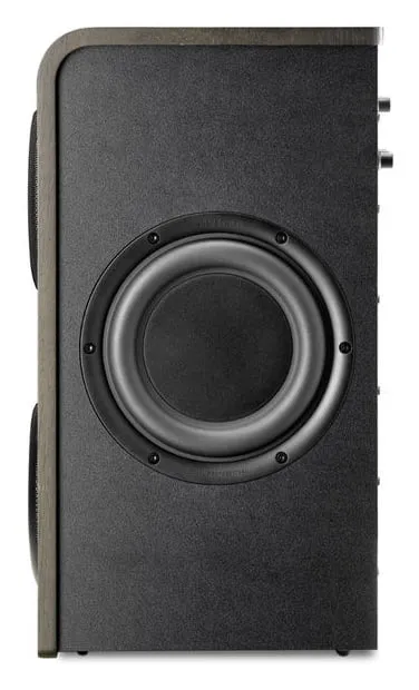 Focal Shape Twin