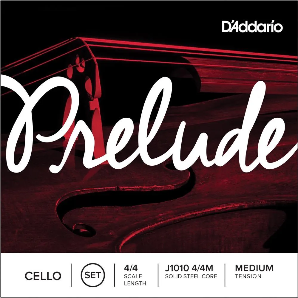 D'Addario J1010 4/4M