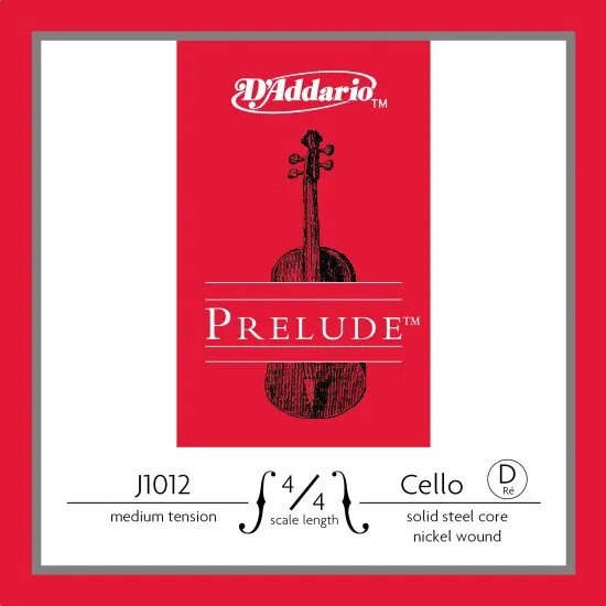D'Addario J1012 4/4M