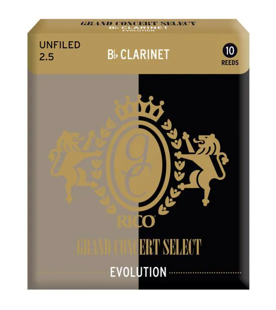 D'Addario RGE10BCL400