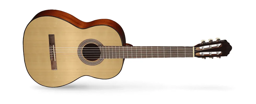 Cort AC100 Open Pore