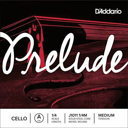 D'Addario J1011 1/4M