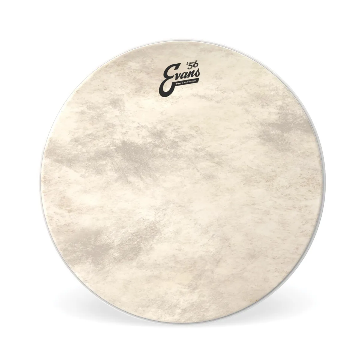 Evans BD24GB4CT