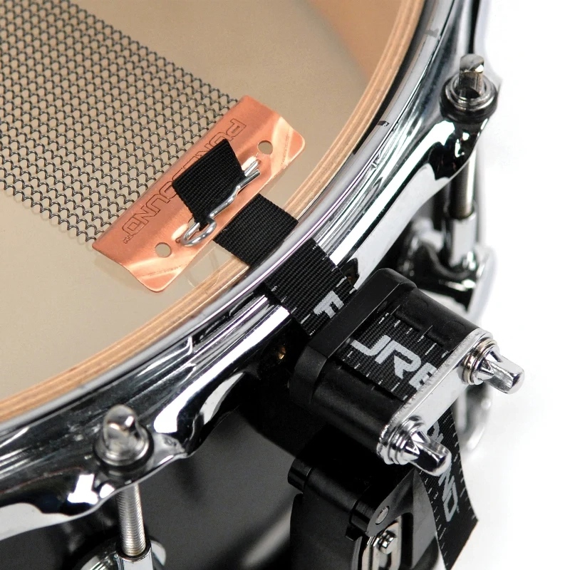 Puresound CPS1320