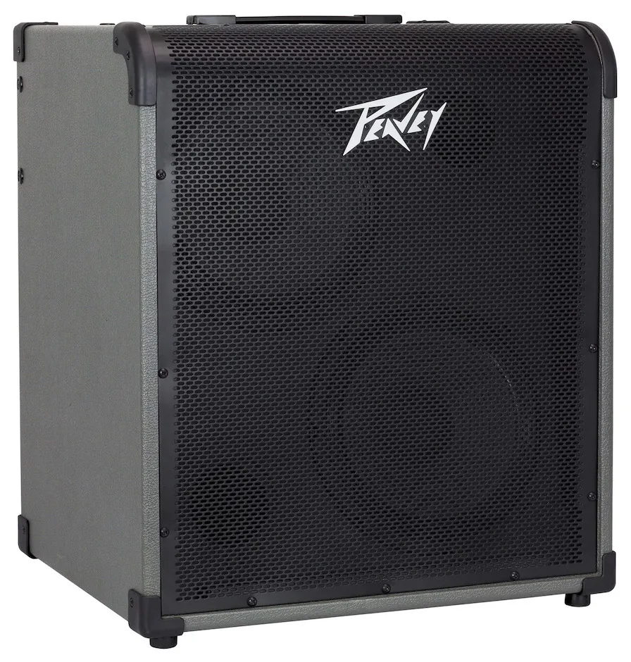 Peavey MAX300, Bass Combo