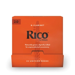 D'Addario RCA0120-B25
