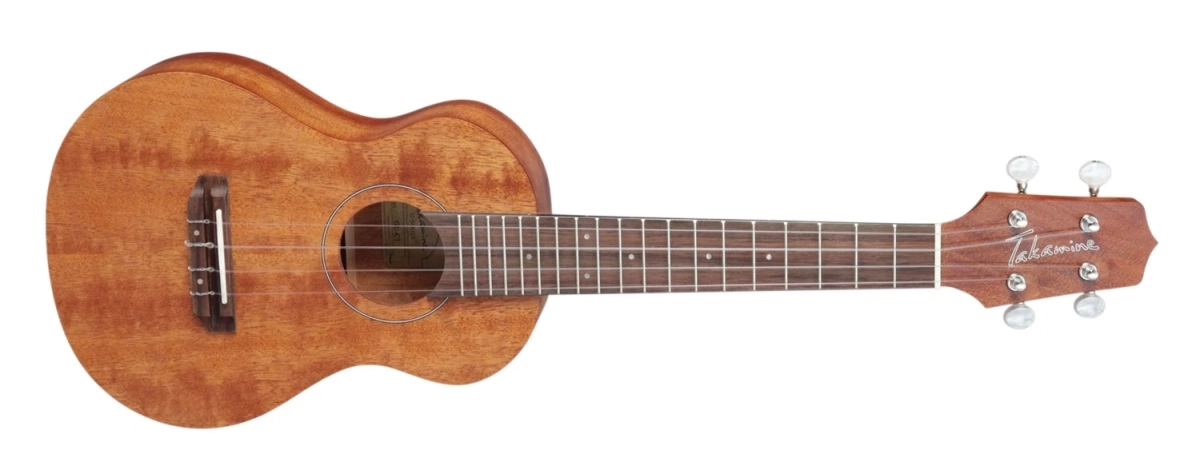 Takamine GU-C1