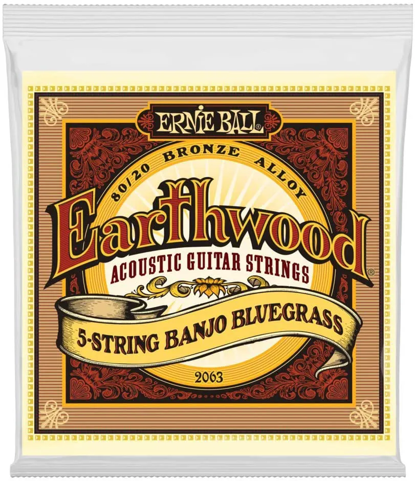 Ernie Ball Earthwood 5 String Banjo, Loop End