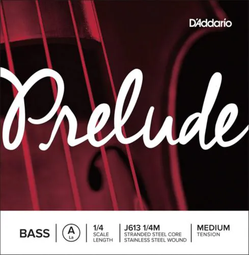 D'Addario J613 1/4M
