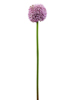 Europalms Allium spray, artificial, lavender, 55cm
