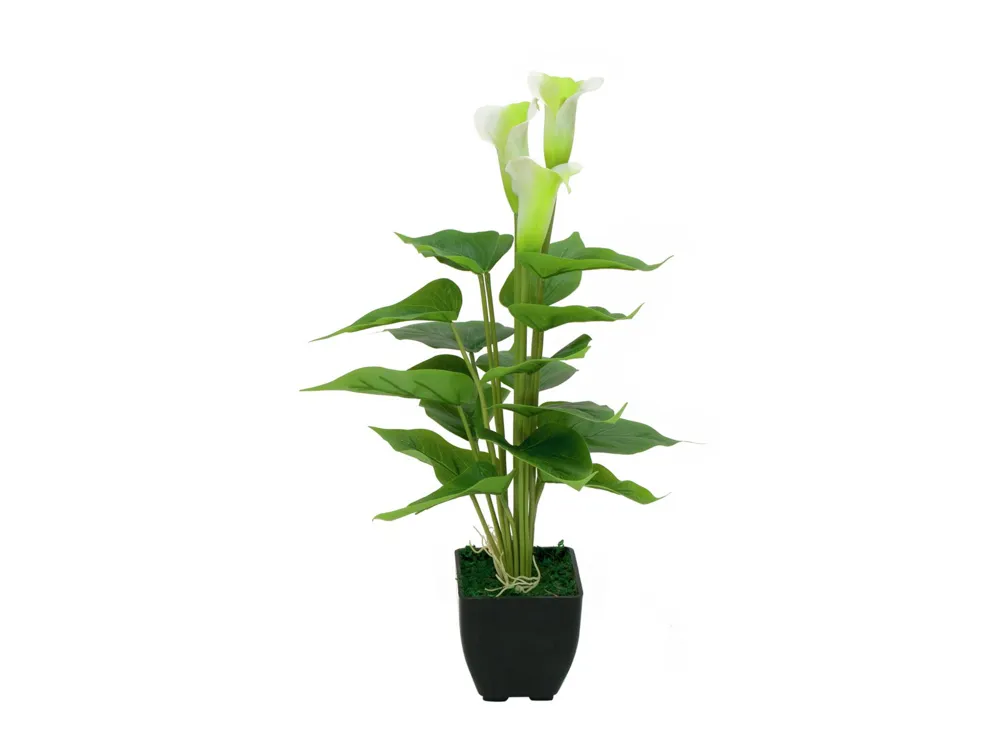 Europalms Mini Calla, artificial plant, white, 43cm