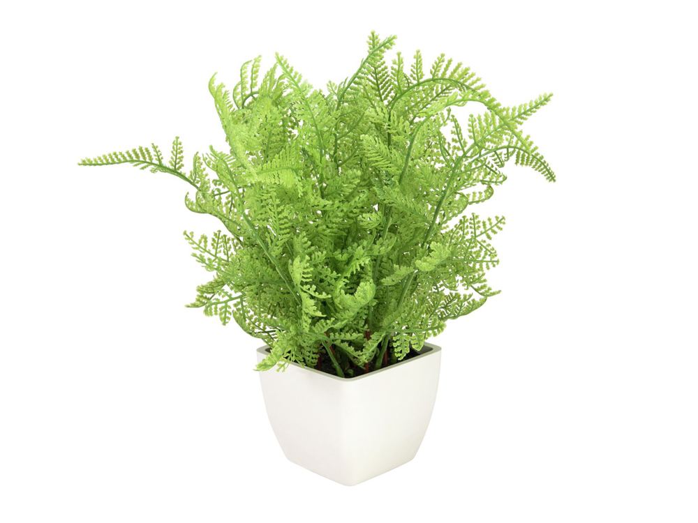 Europalms Forest fern in pot, artificial plant, 28 cm